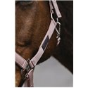 Licol nylon EQUITHEME "Spring"
