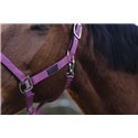 Licol nylon EQUITHEME "Spring"