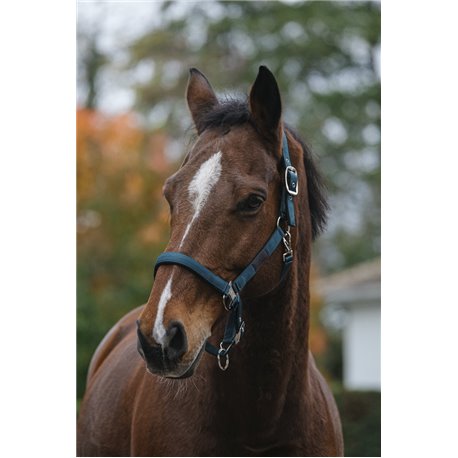 Licol nylon EQUITHEME "Spring"