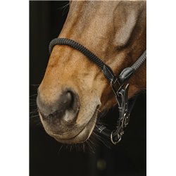 Licol cuir/corde NORTON 2