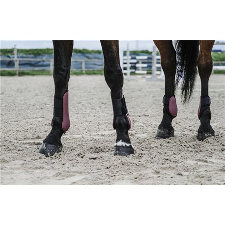 Gu?tres prot?ge-tendon EQUITH?ME