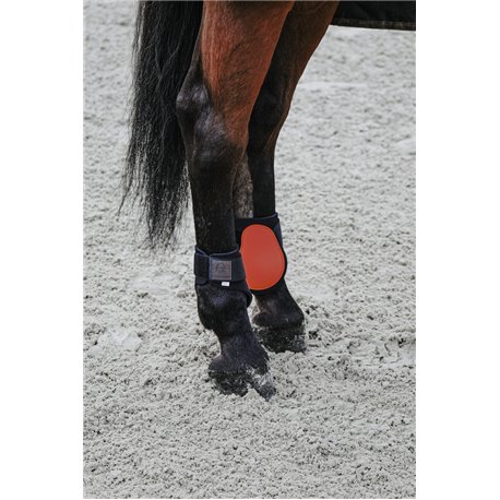 EQUITH?ME Streichkappen