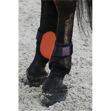 EQUITH?ME Streichkappen