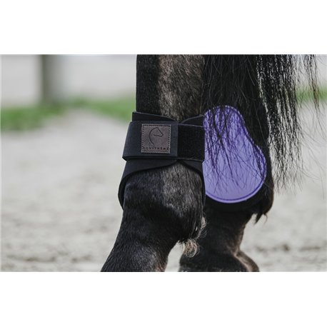 Prot?ge-boulets EQUITH?ME