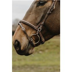 Bridon NORTON CLUB "Deco" 2