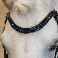 BRIDE PETIT SAPHIRE PONEY 2