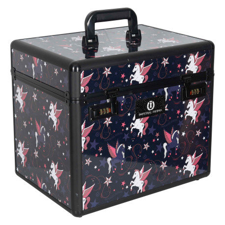 Putzbox Shiny