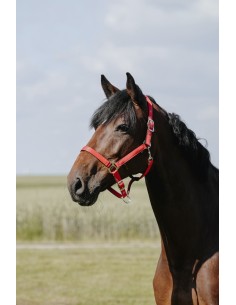 Licol RIDING WORLD - Cushion 2