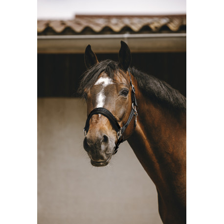 Licol nylon EQUITH?ME - Jacquard