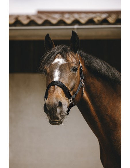 Licol nylon EQUITH?ME - Jacquard