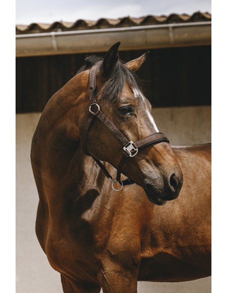 Licol nylon EQUITH?ME - Jacquard