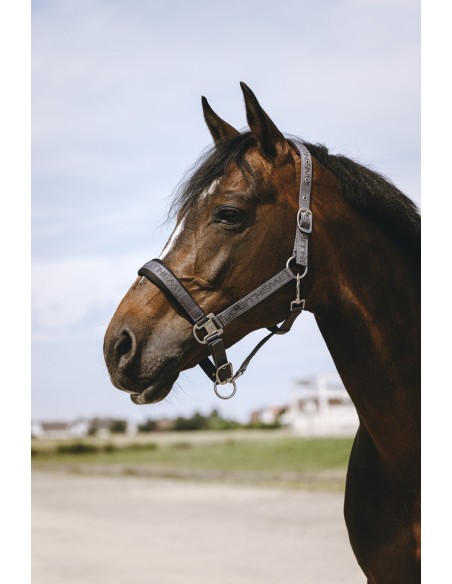 Licol nylon EQUITH?ME - Jacquard