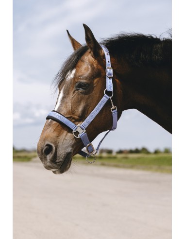 Licol nylon EQUITH?ME - Jacquard