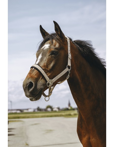 Licol nylon EQUITH?ME - Jacquard