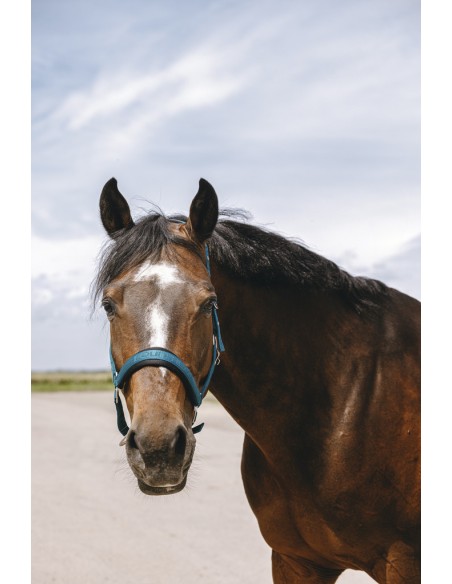 Licol nylon EQUITH?ME - Jacquard