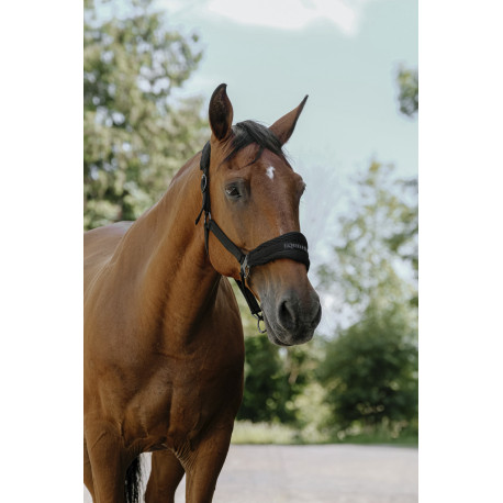 Licol nylon EQUITH?ME - 3D Mesh