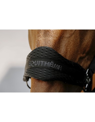 Licol nylon EQUITH?ME - 3D Mesh