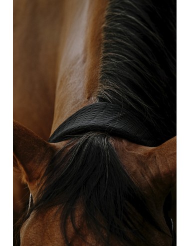 Licol nylon EQUITH?ME - 3D Mesh