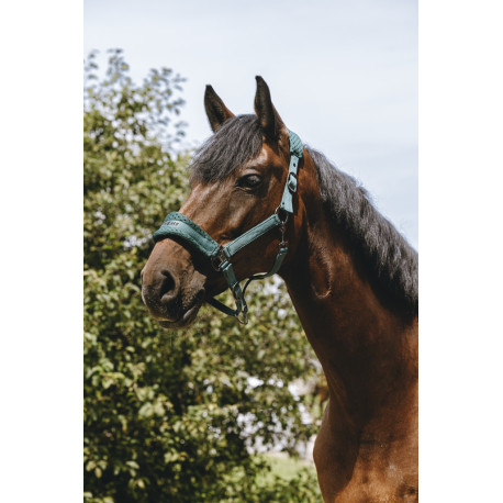 Licol nylon EQUITH?ME - 3D Mesh