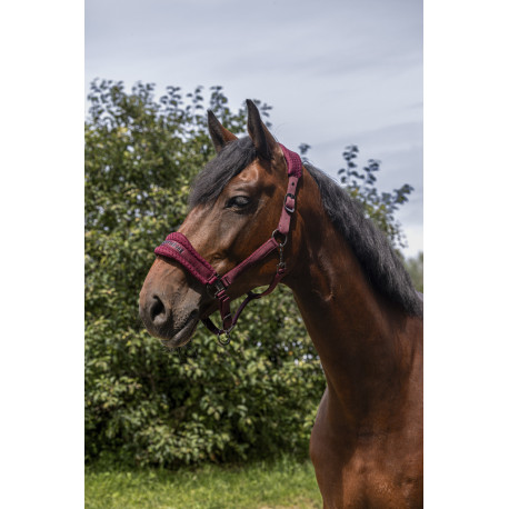 Licol nylon EQUITH?ME - 3D Mesh