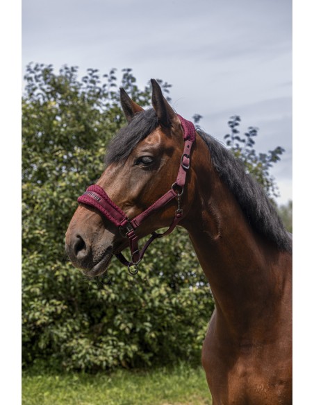 Licol nylon EQUITH?ME - 3D Mesh