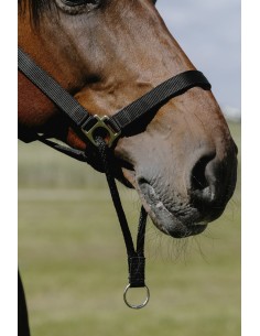 Licol NORTON - Educatif 2