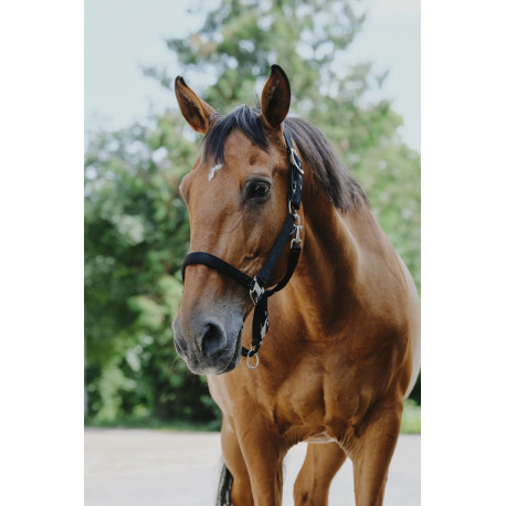 Licol nylon EQUITH?ME - Protector