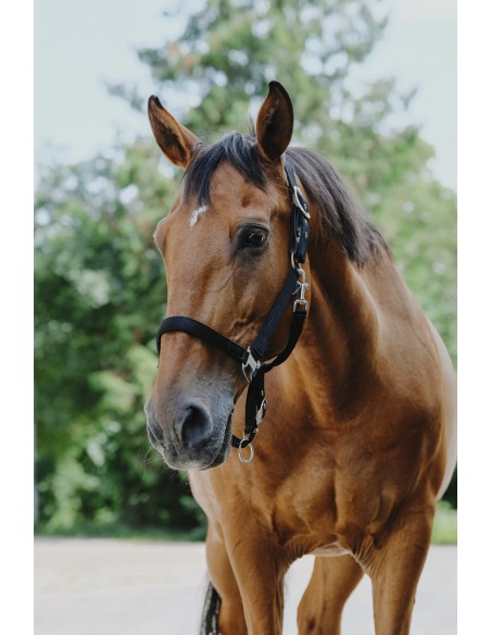 Licol nylon EQUITH?ME - Protector