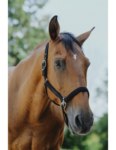 Licol nylon EQUITH?ME - Protector