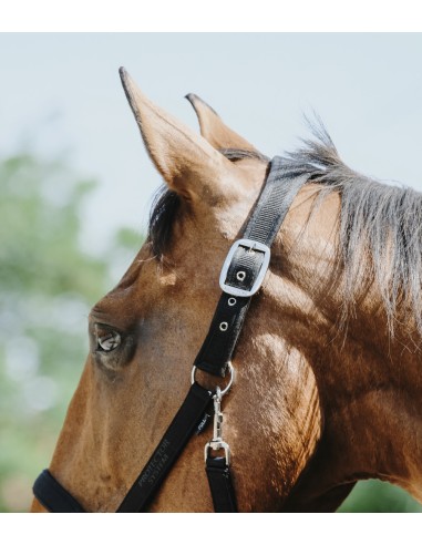 Licol nylon EQUITH?ME - Protector