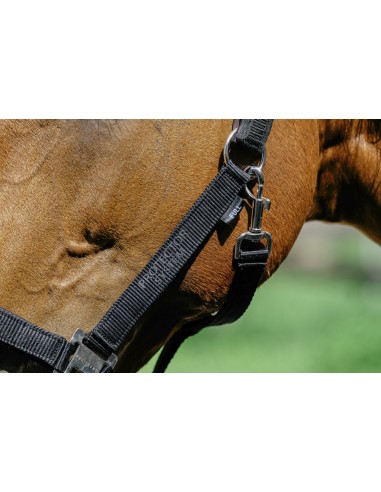 Licol nylon EQUITH?ME - Protector