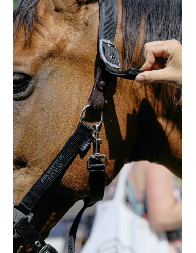 Licol nylon EQUITH?ME - Protector
