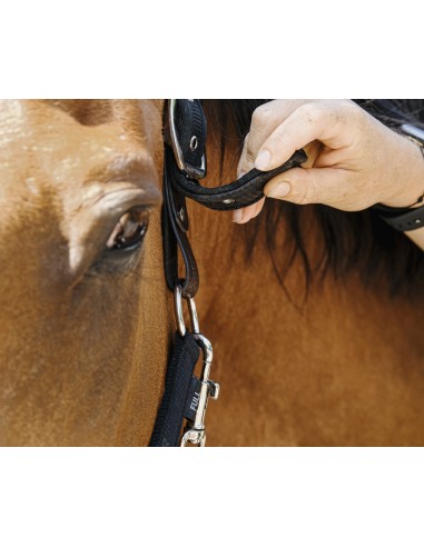 Licol nylon EQUITH?ME - Protector