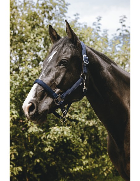 Licol nylon EQUITH?ME - Protector