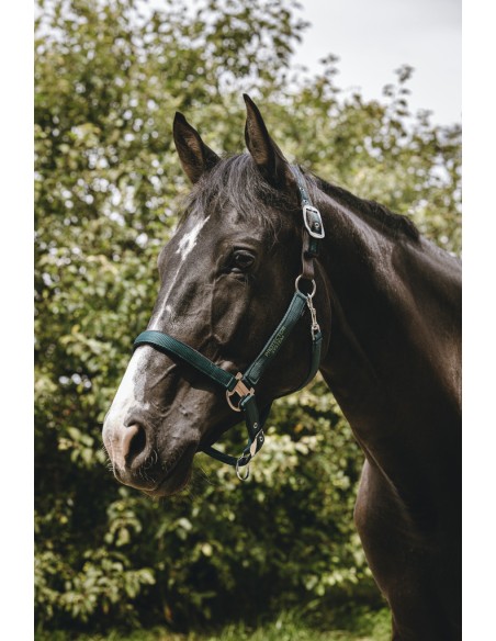 Licol nylon EQUITH?ME - Protector
