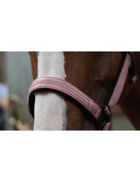 Licol LAMI-CELL - Charming