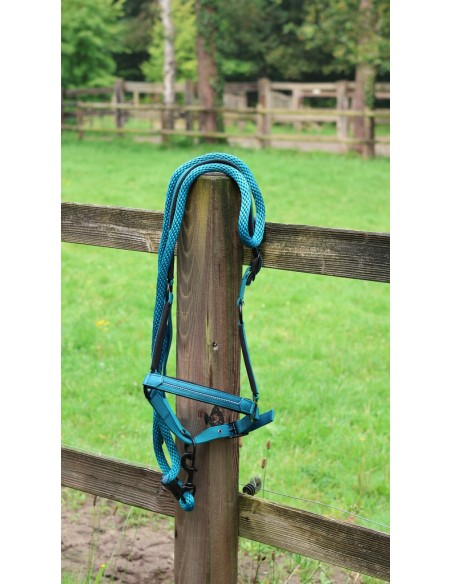 Licol LAMI-CELL - Charming