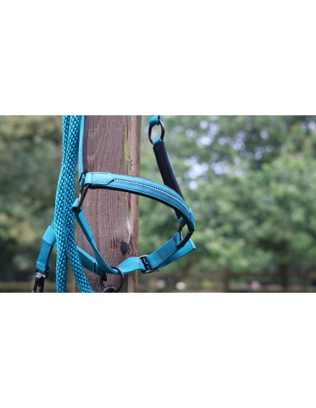 Licol LAMI-CELL - Charming