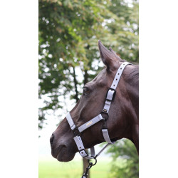 Licol LAMI-CELL - Midnight