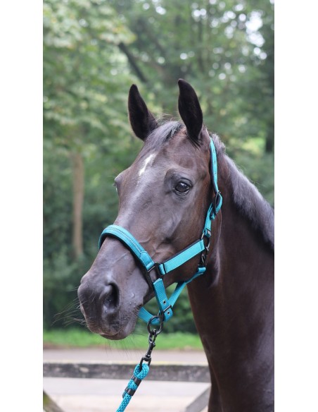 Longe d'attache LAMI-CELL - Charming