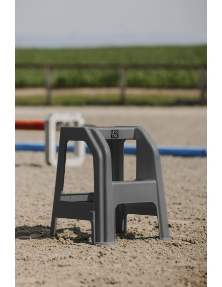 Montoir deux marches HIPPOTONIC