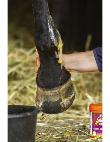 Gel r?frig?rant EQUINATURA