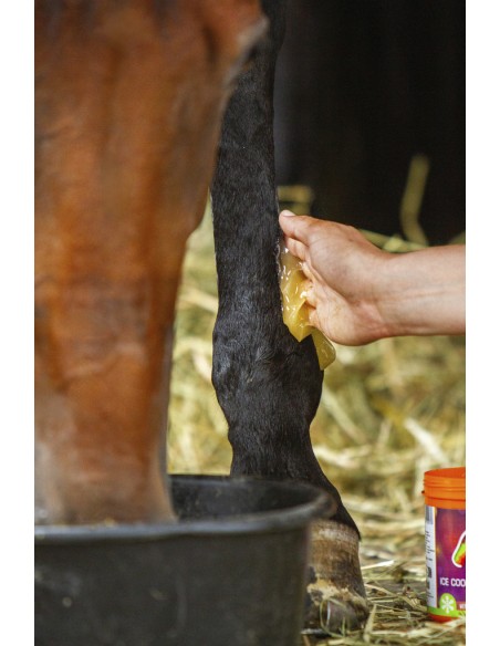 Gel r?frig?rant EQUINATURA