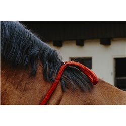 Collier ?thologique NORTON 2