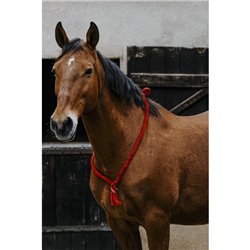 Collier ?thologique NORTON