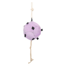 HORSE BALL VOLLEY UP BALLERINA