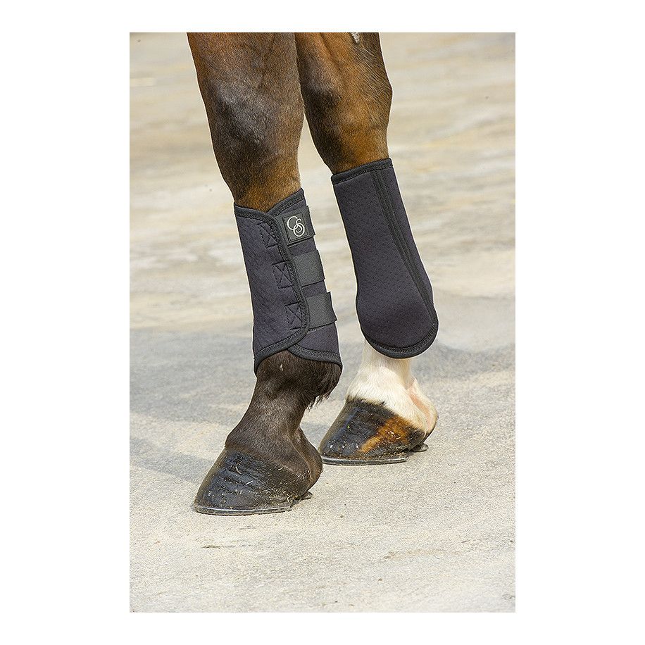 Gu?tres NORTON "Elastiques"