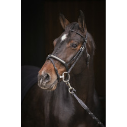 Bridon PENELOPE "Symphonie"