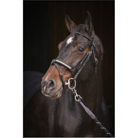 Bridon PENELOPE "Symphonie"