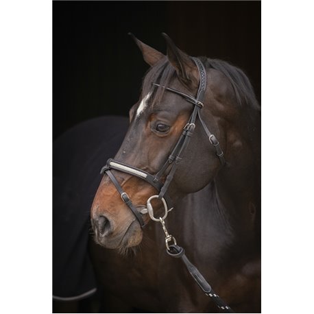 Bridon PENELOPE "Symphonie"